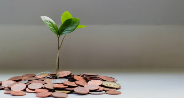 Best Investment Opportunities for Entrepreneurs in 2025