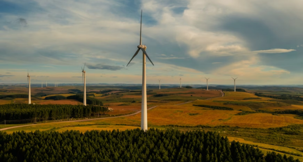The Business of Renewable Energy: Trends and Profits