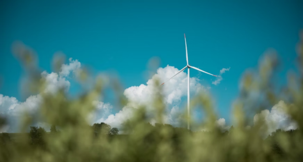 Top Clean Energy Startups to Watch in 2025